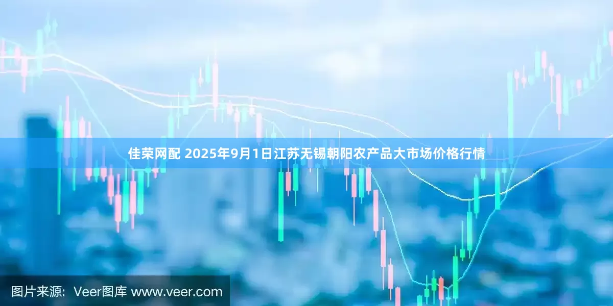 佳荣网配 2025年9月1日江苏无锡朝阳农产品大市场价格行情